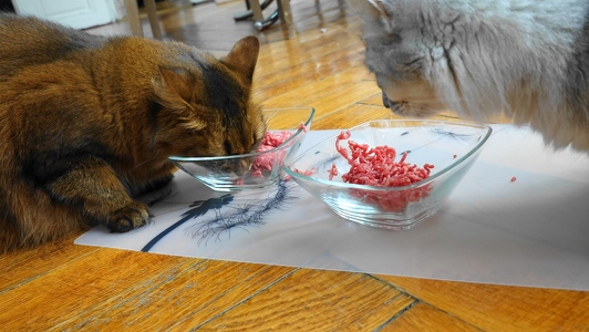 Aldo-Approved-Frischesiegel-2-Faschiertes-vom-Bergrind-3s