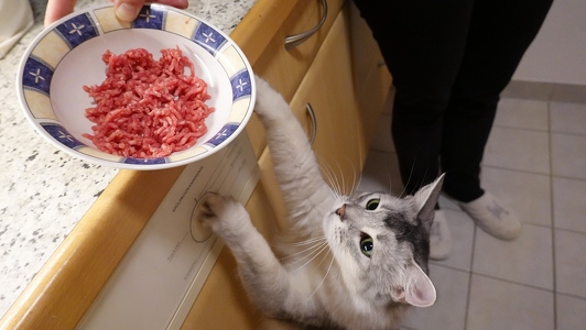 Aldo-Approved-Frischesiegel-3-Faschiertes-vom-Bergrind-2