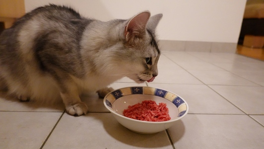 Aldo-Approved-Frischesiegel-3-Faschiertes-vom-Bergrind-6