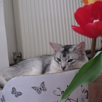 2015-03-17-14-38-18.jpg